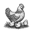  mother hen with her chicks among grass and grains sketch engraving generative ai fictional character vector illustration. Scratch board imitation. Black and white image.