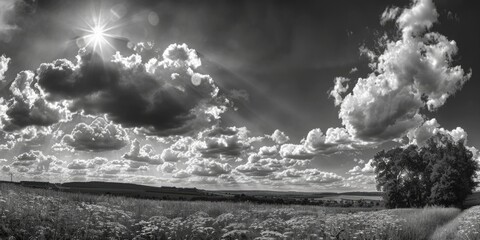 Aufkleber - A black and white photo of a field. Suitable for various design projects