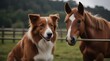 © adan - Red Border Collie Dog And Horse .Generative AI