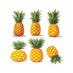 Pineapple fruit set. Tropical sweet ananas collection in different styles. Vector illustration isolated on white.