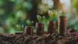Investment and profit growth concept, coins in stacks with plants