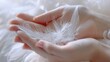 © Fotograf - Person holding a white feather. Suitable for various concepts