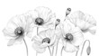 A bunch of white flowers on a plain white background. Ideal for floral design concepts
