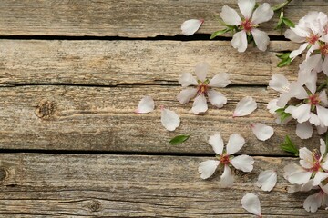  Beautiful spring tree blossoms and petals on wooden table, flat lay. Space for text
