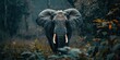 Majestic elephant standing in a forest. Suitable for nature and wildlife themes