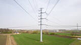 Fototapeta Storczyk - Słup wysokiego napięcia stojący na polu, linie energetyczne 