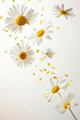 Poster - A bunch of daisies flying in the air. Perfect for spring-themed designs