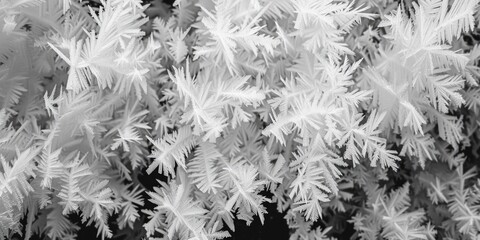 Poster - Detailed close-up of frost crystals, suitable for winter themes
