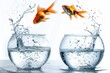 Goldfish jumping between fishbowls on a white background