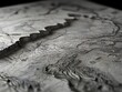 A stylized, monochrome topographic map for an adventurous feel, generative AI