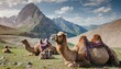 camels in the mountains