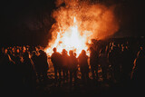 Fototapeta Dmuchawce - fire in the fireplace