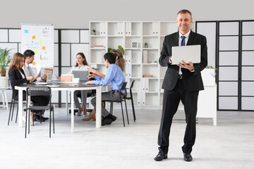 Poster - Mature businessman with laptop at meeting in office