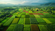 Fields from Above. Rural Agriculture