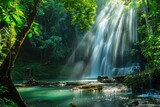 Fototapeta Natura - Sunlight beams and rays shine through leaves of trees in tropical rainforest with beautiful waterfall falling in clear pond and old big tree on foreground