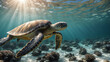 a sea turtle swimming gracefully near the surface of the ocean, with sunlight streaming through the water highlighting the underwater scenery