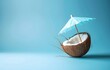 © Biancaneve MoSt - Coconut on a blue background, summer holiday concept.