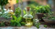 Glass bottle with herbal oil and cork surrounded by fresh aromatic herbs on wooden surface. Soft bokeh background. Natural essential oils and herbal medicine concept for design and print.