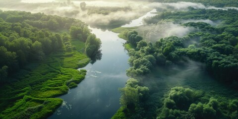 Poster - Aerial view of a river surrounded by trees. Suitable for nature and landscape themes