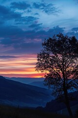 Poster - A lone tree stands against a colorful sunset, perfect for nature and landscape designs