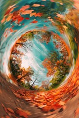 Poster - A bird's eye view of a forest in autumn. Perfect for nature backgrounds