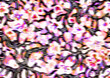 Blurred vision cherry blossom seamless pattern in trendy drawn by hand in naive baby style. Artistic botanica with bright acrylic paints texture on craft paper. 