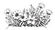 Wild flowers border sketch hand drawn sketch Vector illustration