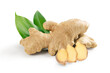 Ginger root with slice and leaves  on white background