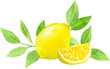 水彩で描いたレモンの飾り