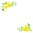フレッシュなレモンの装飾フレーム
