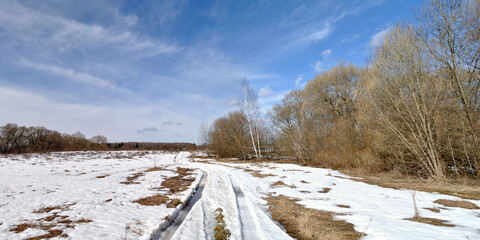 Sticker - Spring walk through the forest, beautiful panorama.	