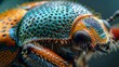 A detailed image of the colorful and patterned exoskeleton of a beetle with fine hairs and ridges visible on its surface.
