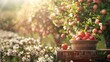 A quaint wooden podium sits amidst rows of blooming fruit trees. A basket of freshly picked fruit sits on the podium showcasing the . .