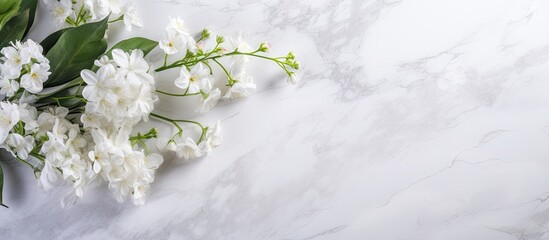 Sticker - Delicate white flowers displayed on a sleek marble background, creating a serene and elegant aesthetic