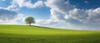 Lone tree standing on a sloping green hill against a serene blue sky