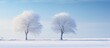 Two tall trees standing in a wintery landscape covered in snow