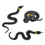 Fototapeta Natura - vector drawing ringed snakes isolated at white background, hand drawn illustration