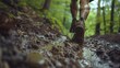 Dynamic close-up of trail runner navigating a forest path, shoes caked in mud, embodying adventure and endurance