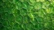 Micro shot of plant cells a greenery backdrop of a plants cell a background for nature or experimental product advertisement, Generative AI.