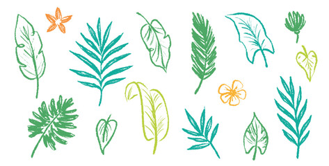 Aufkleber - Palm leaf hand drawn crayon brush illustration. Foliage green tropical jungle leaves monstera, banana tree leaf texture silhouette elements. Hand drawn grunge black texture. Vector illustration.