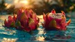   A dragon fruit in a water pool with sunlight behind and trees surrounding it