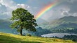   A solitary tree atop a hill Rainbow arcing above tranquil lake Mountain range backdrop