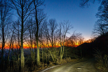 Wall Mural - Sunset illuminating an empty road on a tree-lined hillside