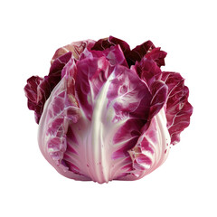 Wall Mural - Close-up of red cabbage head on Transparent Background