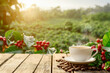cup of hot coffee on table with roasted coffee beans and plantation with sunshine as background