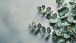 natural green eucalyptus branches on empty light grey background with copy space template with fresh plant eco spring concept skin care product layout top view flat lay minimal composition