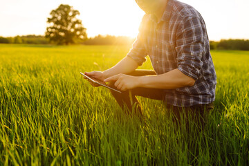 Wall Mural - Smart farm. Farmer with tablet in green field. Modern digital technologies. Agronomist at the farm.