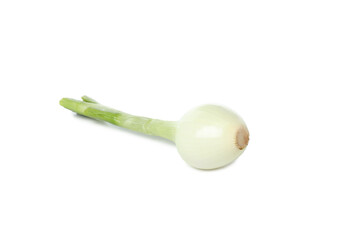 Sticker - PNG, Green onion, isolated on white background