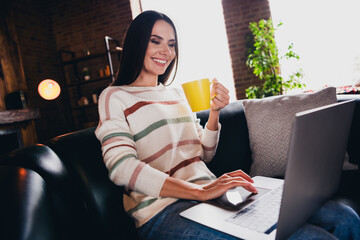 Poster - Photo of adorable cute lady dressed striped pullover drinking tea writing emails modern device indoors house room