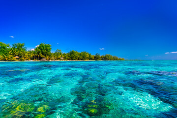 Sticker - Serene tropical beach in Bora Bora, French Polynesia